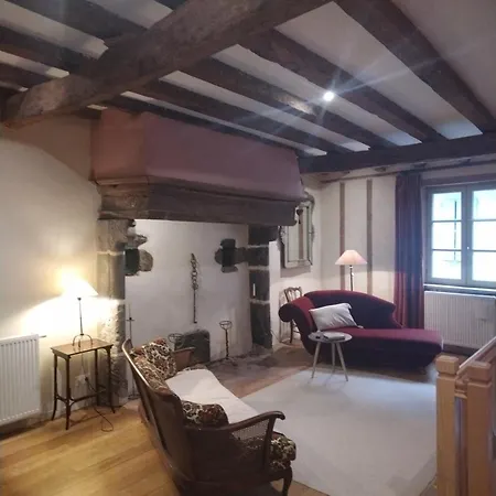 Grande Maison Conviviale Dans Le Centre Historique *
